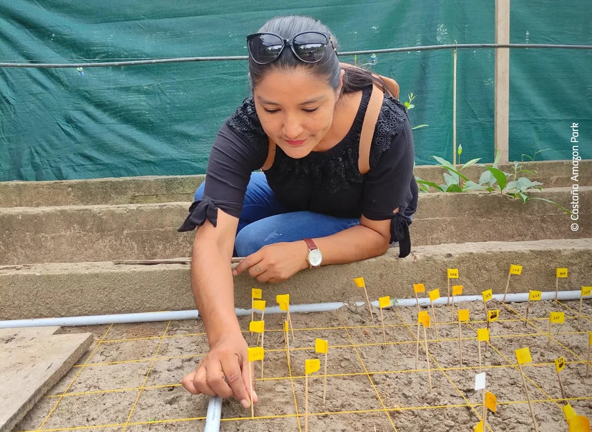 Recorre el Perú con sus platos bandera: aprende la receta en un minuto